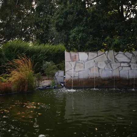 住宿加早餐酒店 约翰内斯-霍夫住宿加早餐旅馆 巴尔洛