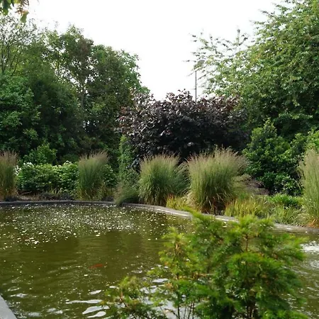 住宿加早餐酒店 约翰内斯-霍夫住宿加早餐旅馆