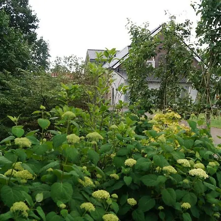 约翰内斯-霍夫住宿加早餐旅馆 4*