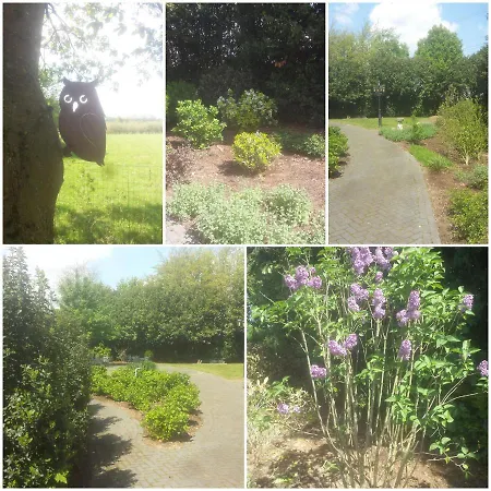 Bed & Breakfast Johannes-hoeve Baarlo (Limburg)