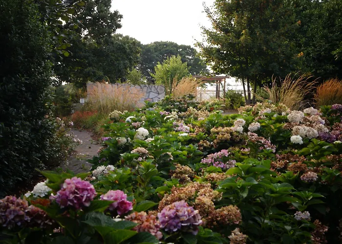 Johannes-hoeve Bed and breakfast 4*