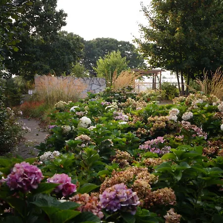 Johannes-hoeve לינה וארוחת בוקר 4*