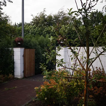 Johannes-hoeve לינה וארוחת בוקר בארלו