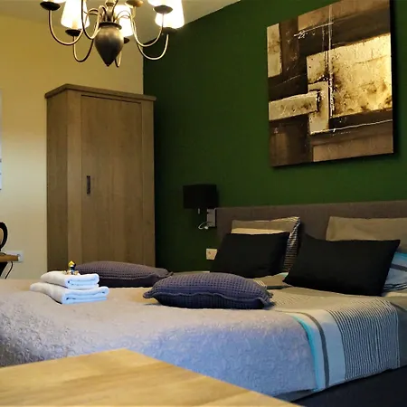 לינה וארוחת בוקר Johannes-hoeve בארלו